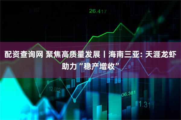 配资查询网 聚焦高质量发展丨海南三亚: 天涯龙虾助力“稳产增收”